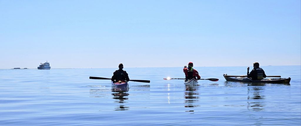 Rückblick Nordsee-Halligentour: